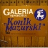 Konik Mazurski_28